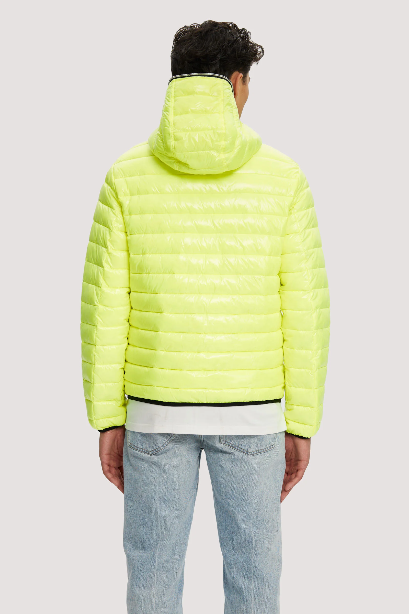 Finn - Image 12