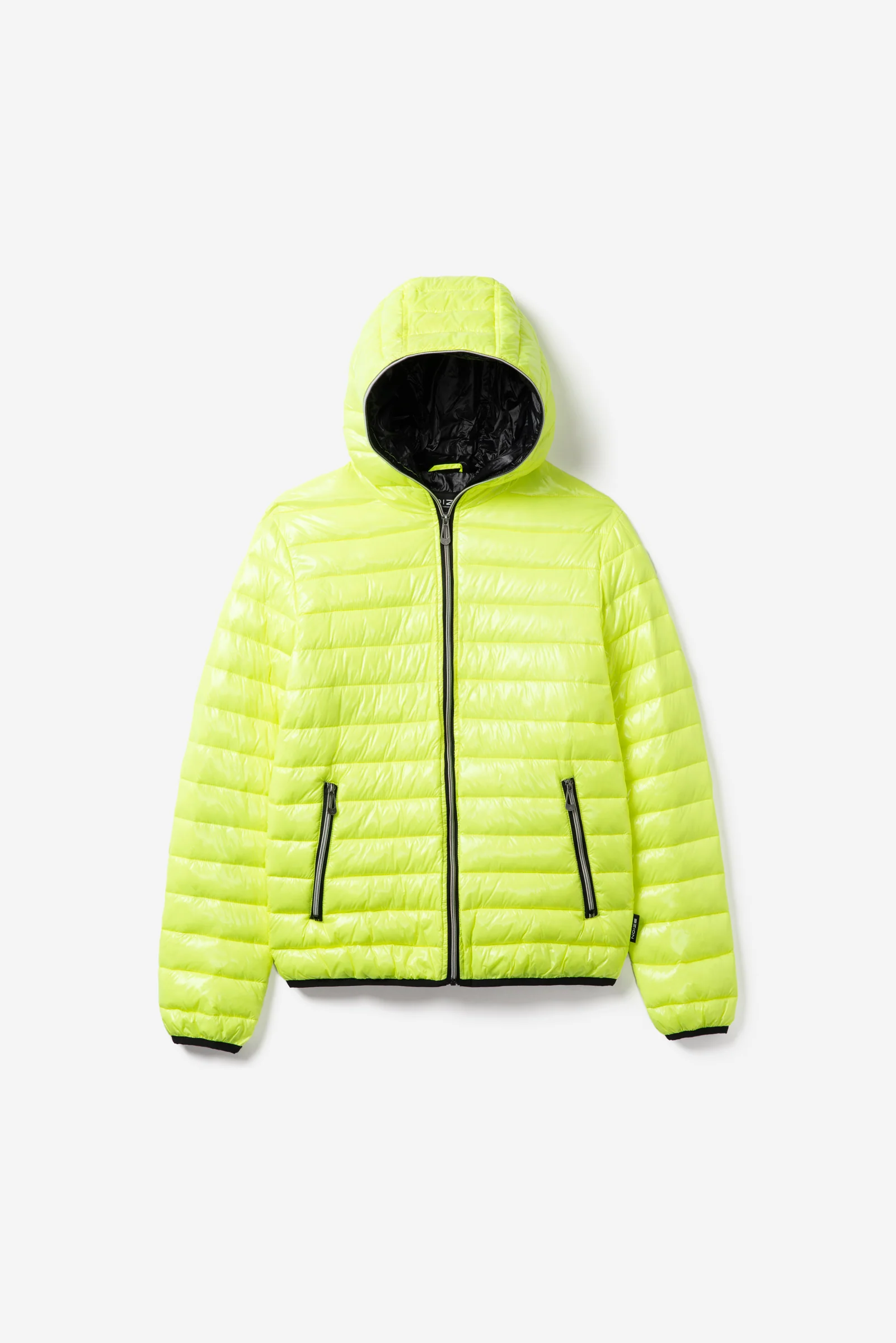 Finn - Image 13