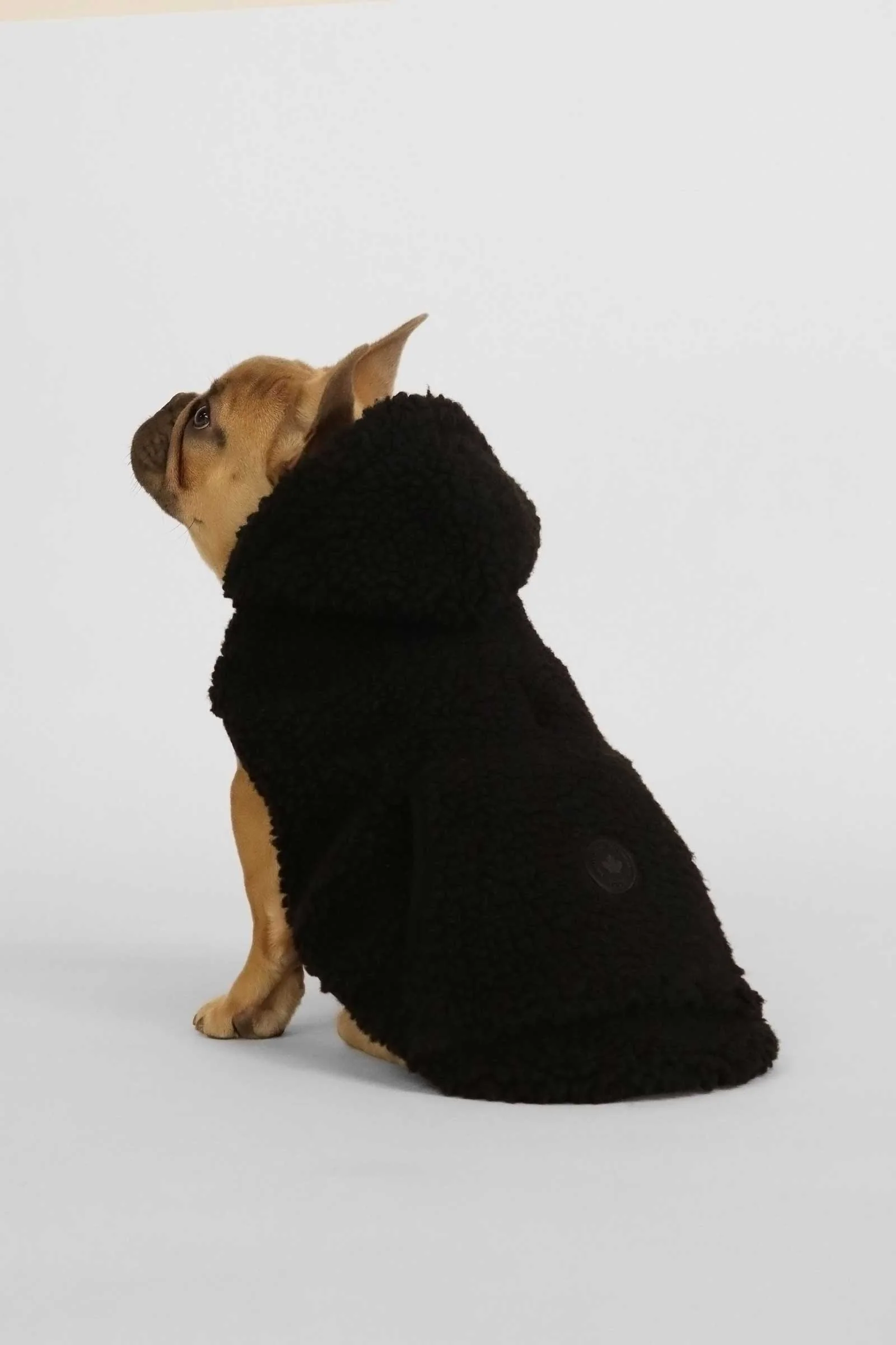 Kibbles - Image 3