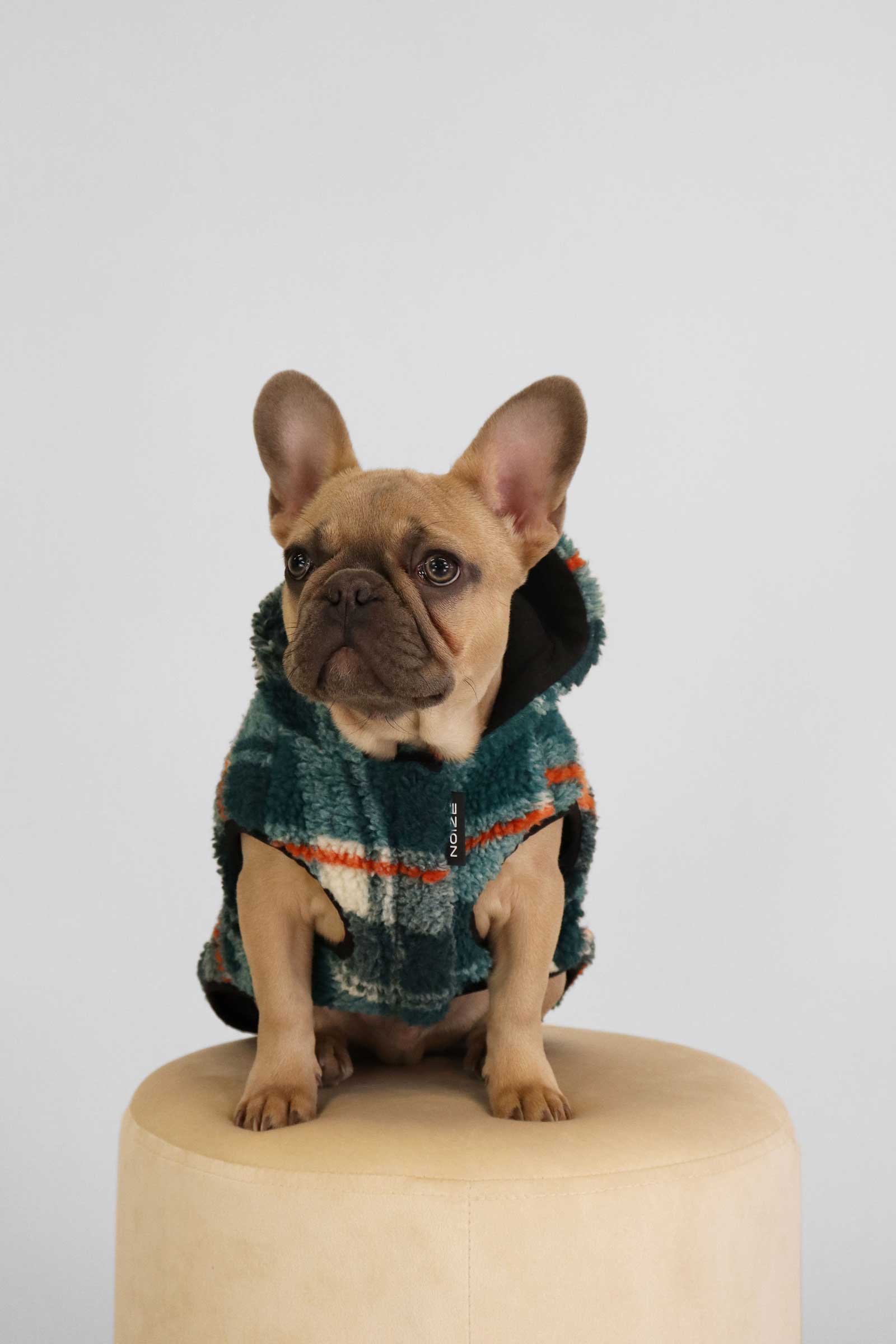Kibbles - Image 6